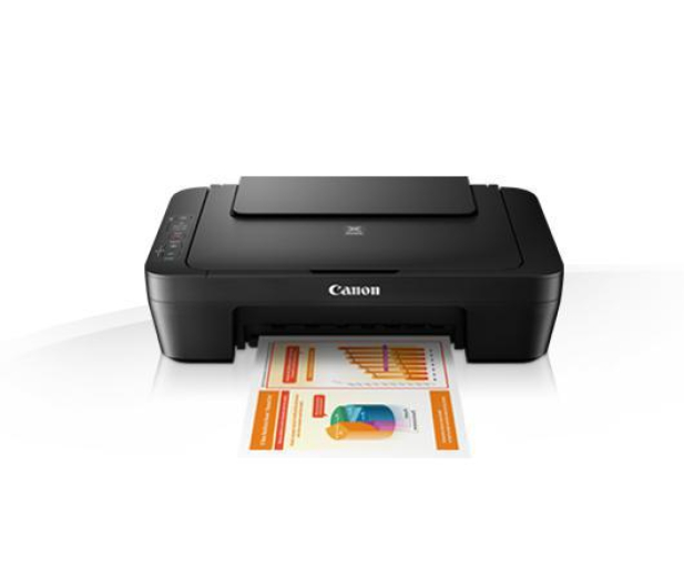 CANON PIXMA MG2550S - 318481 - zdjęcie
